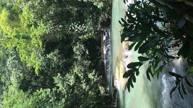 YS Falls Private Full-Day Adventure Tour with Pickup - The value of a $129 private tour