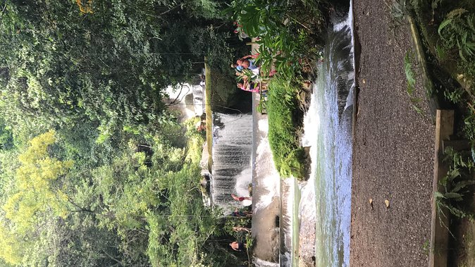 YS Falls Private Full-Day Adventure Tour with Pickup - Seven falls, natural pools, and marked swimming areas