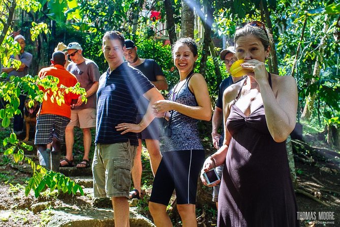 Zimbali's Rasta Tour Lunch - Leaving Negril for Zimbali’s old cane country