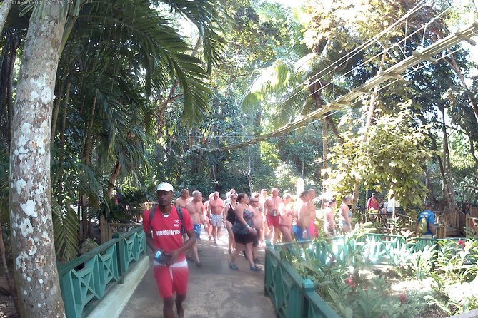 Zip Line over the Dunns River Falls - What the Montego Bay to Dunn’s River trip is really like