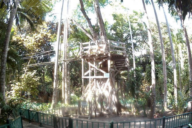 Zip Line over the Dunns River Falls - Dunn’s River Falls after the zipline