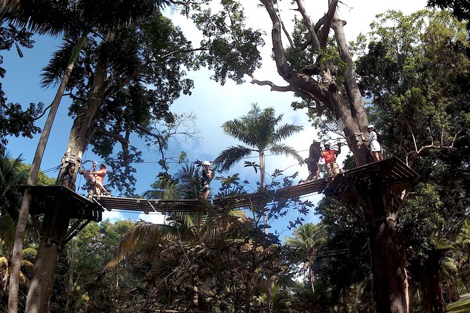 Zip Line over the Dunns River Falls - Staff make the difference on a first zipline
