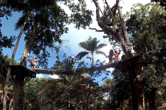 Zip Line over the Dunns River Falls - The main complaints you should take seriously