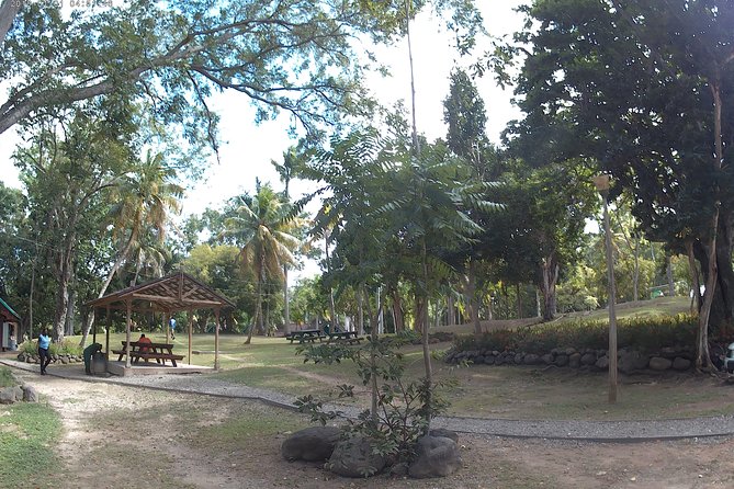 Zip Line over the Dunns River Falls - Who will get the most from this four-hour tour