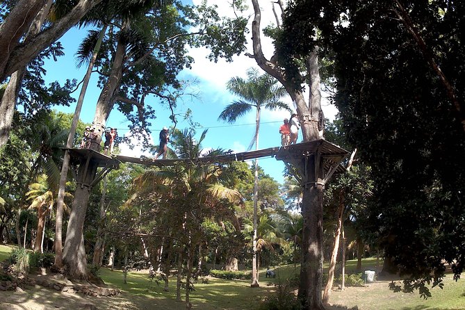 Zip Line over the Dunns River Falls - Booking advice for the $192.67 price