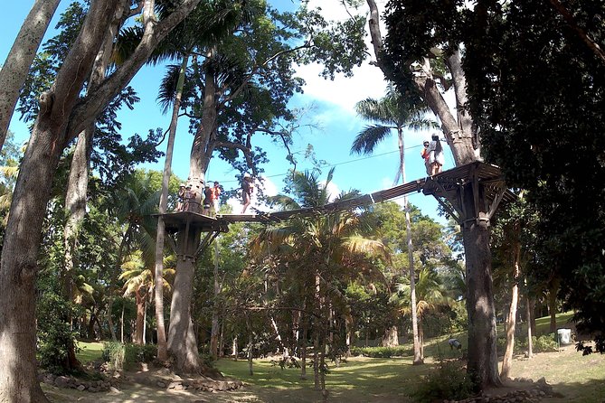 Zip Line over the Dunns River Falls - Four short lines over the park