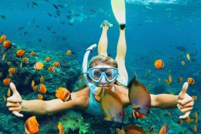 Zip-lining/Horseback Rides/Cat & Atv Inclusive Act with Transpo From Montego Bay - Snorkeling and the possible catamaran cruise