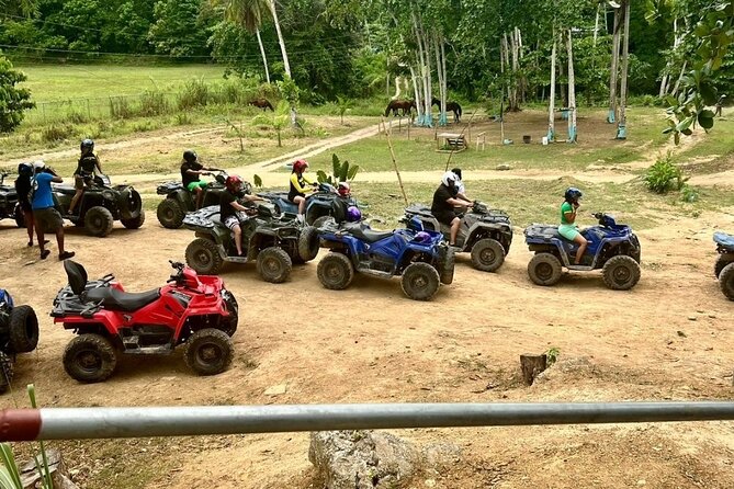 Zipline, Horseback Ride and Swim and Quad ATV bike in Negril - Is $335 per person good value?